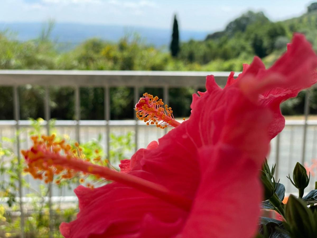 A Casa Di Silvia Διαμέρισμα Gambassi Terme Εξωτερικό φωτογραφία