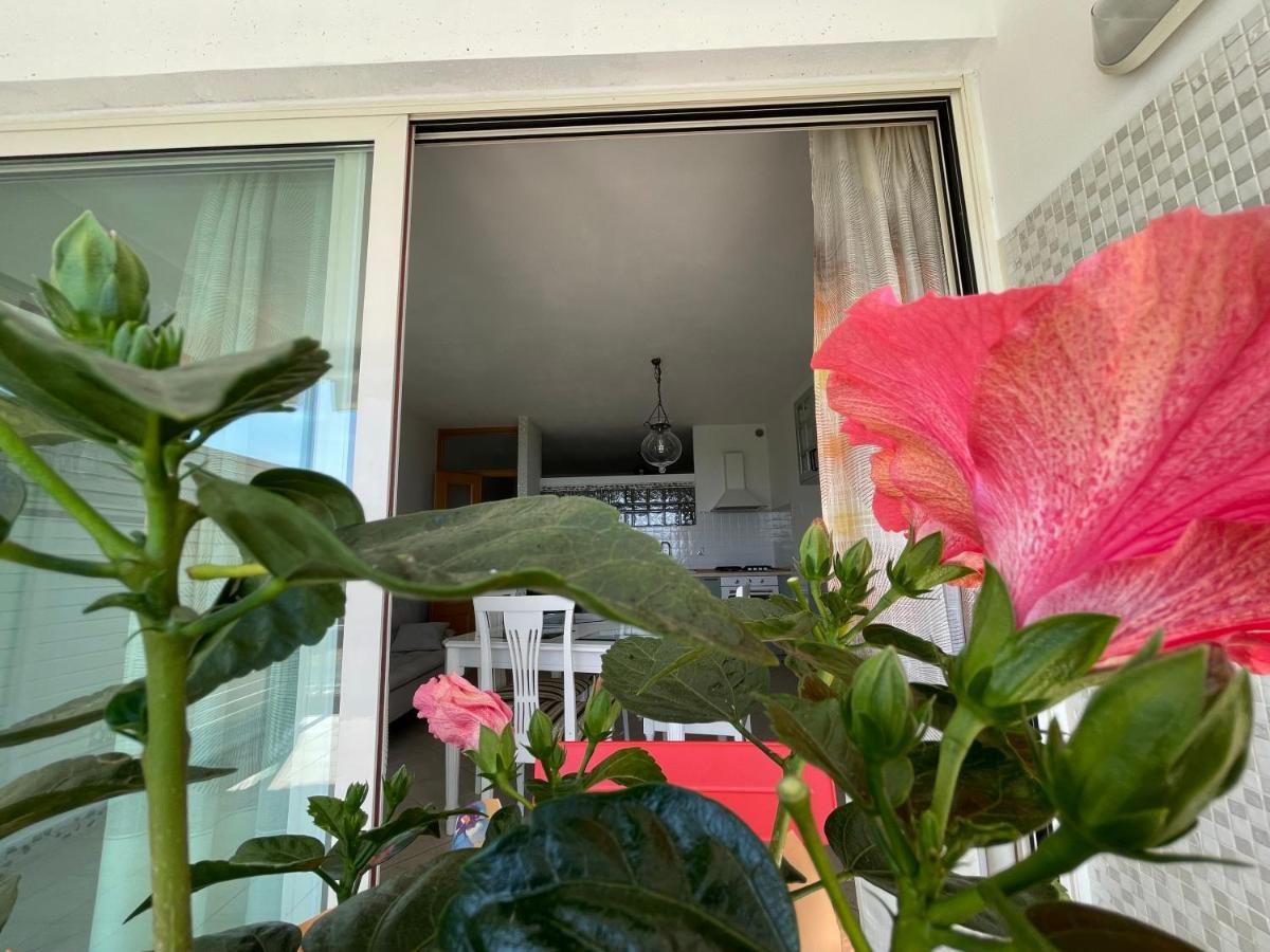 A Casa Di Silvia Διαμέρισμα Gambassi Terme Εξωτερικό φωτογραφία