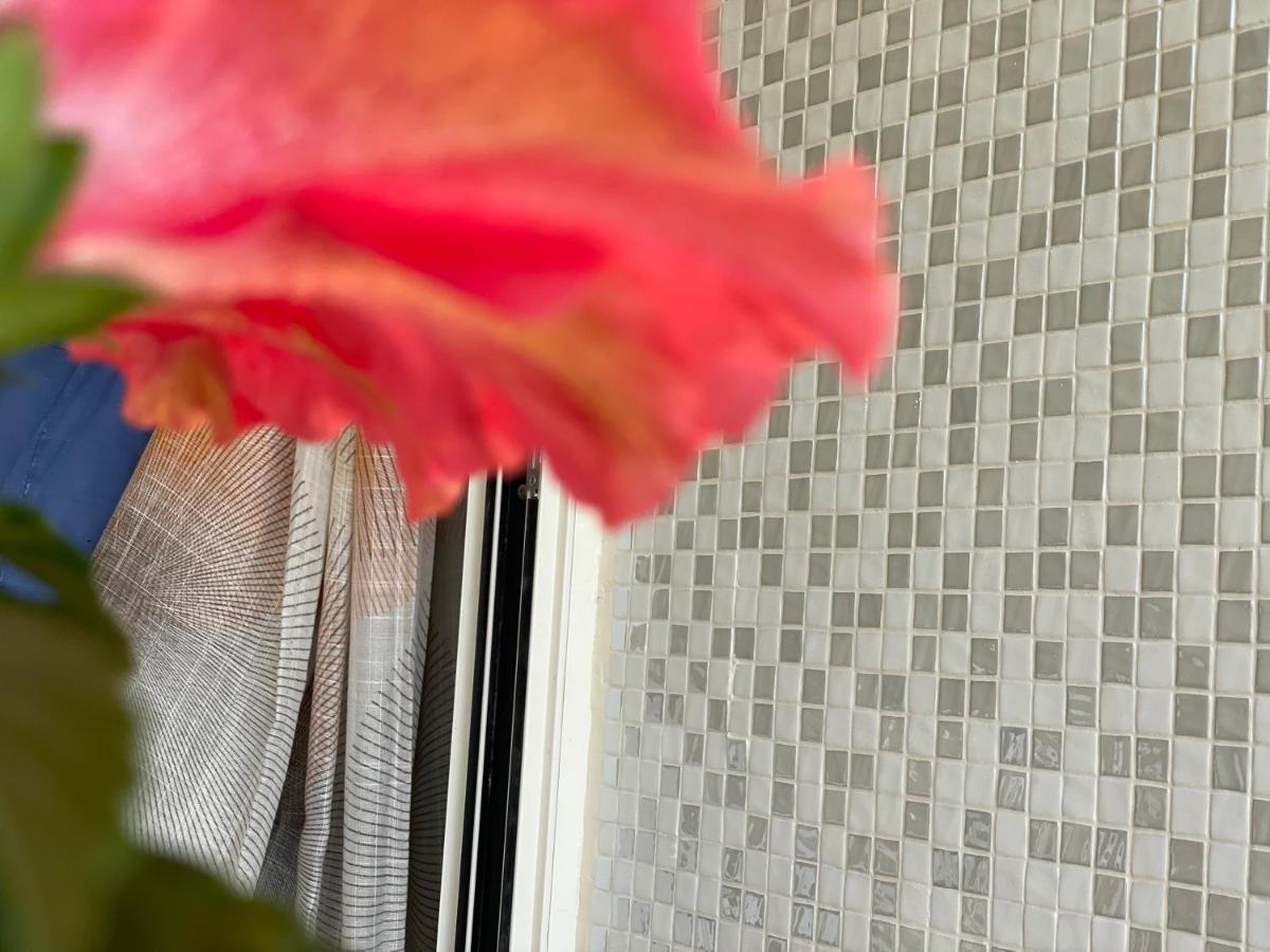 A Casa Di Silvia Διαμέρισμα Gambassi Terme Εξωτερικό φωτογραφία
